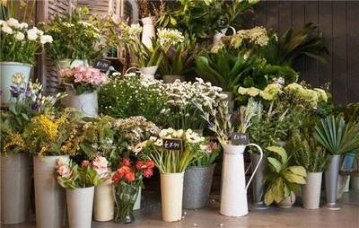 Nutsonly花店加盟 盈利前景、費用條件與經(jīng)營指南